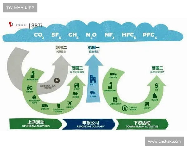 碳积分系统助力高尔夫赛事华彬站实现全面碳中和目标 碳积分系统助力高尔夫赛事华彬站实现全面碳中和目标