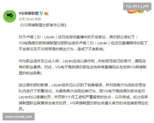 沙特电竞世界杯引发体育洗白争议与人道主义议题的深度讨论 沙特电竞世界杯引发体育洗白争议与人道主义议题的深度讨论